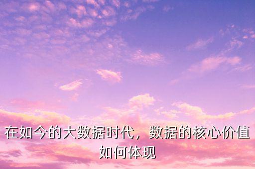 在如今的大數(shù)據(jù)時(shí)代，數(shù)據(jù)的核心價(jià)值如何體現(xiàn)