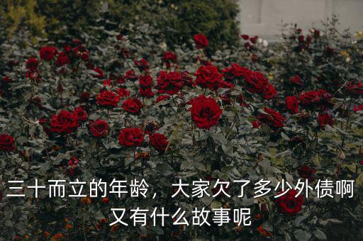 三十而立的年齡，大家欠了多少外債啊又有什么故事呢