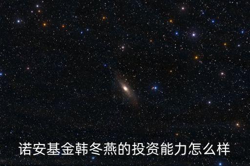 諾安基金韓冬燕的投資能力怎么樣