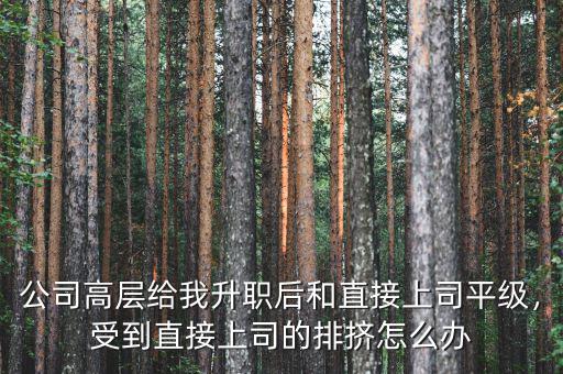 公司高層給我升職后和直接上司平級(jí)，受到直接上司的排擠怎么辦