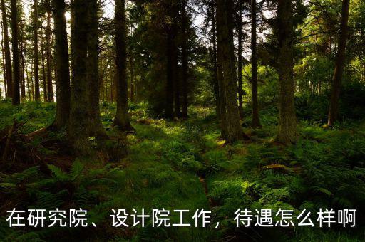 在研究院、設(shè)計(jì)院工作，待遇怎么樣啊