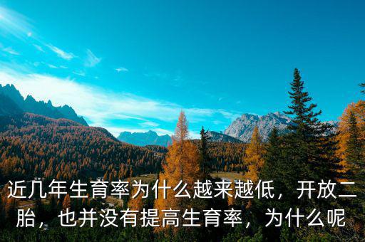 二胎開(kāi)放生育率為什么沒(méi)有提高,也并沒(méi)有提高生育率