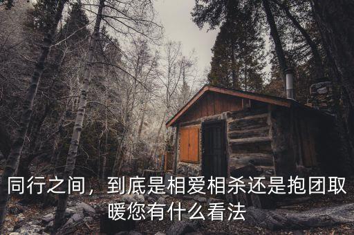 同行之間，到底是相愛相殺還是抱團(tuán)取暖您有什么看法