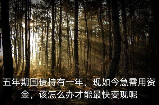 五年期國(guó)債持有一年，現(xiàn)如今急需用資金，該怎么辦才能最快變現(xiàn)呢