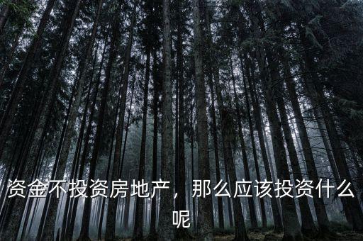 資金不投資房地產，那么應該投資什么呢