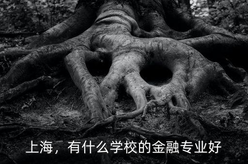 上海，有什么學(xué)校的金融專業(yè)好