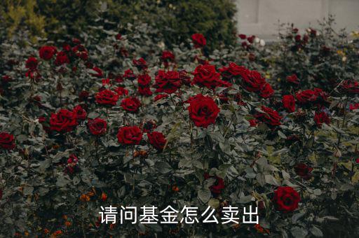 請(qǐng)問基金怎么賣出