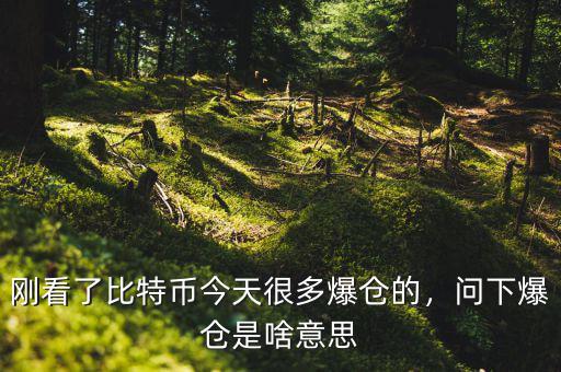 剛看了比特幣今天很多爆倉(cāng)的，問(wèn)下爆倉(cāng)是啥意思