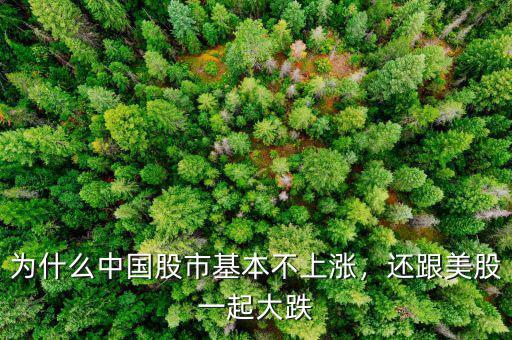 為什么中國股市基本不上漲，還跟美股一起大跌
