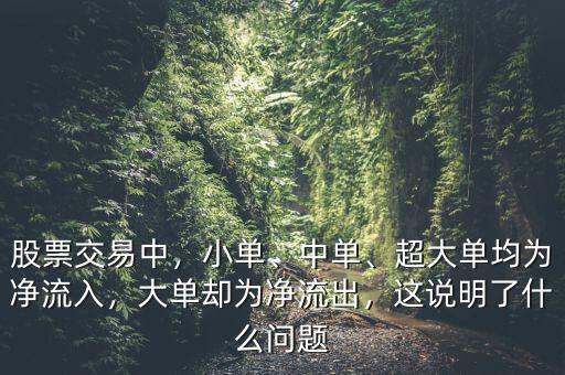 股票交易中，小單、中單、超大單均為凈流入，大單卻為凈流出，這說明了什么問題