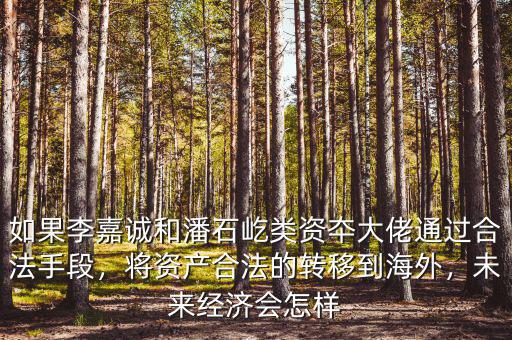 如果李嘉誠(chéng)和潘石屹類資夲大佬通過(guò)合法手段，將資產(chǎn)合法的轉(zhuǎn)移到海外，未來(lái)經(jīng)濟(jì)會(huì)怎樣