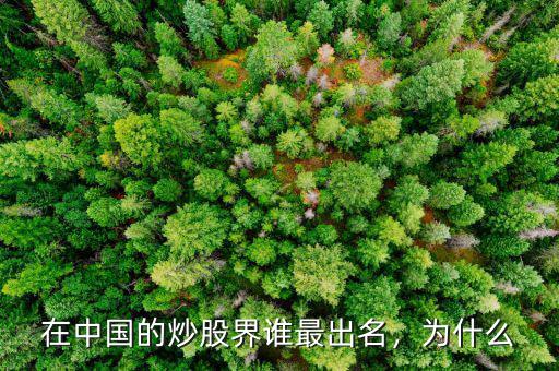 在中國的炒股界誰最出名，為什么