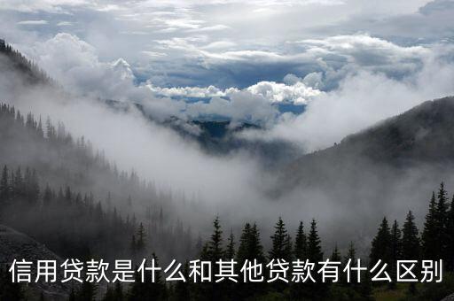 信用貸是什么意思,和其他貸款有什么區(qū)別