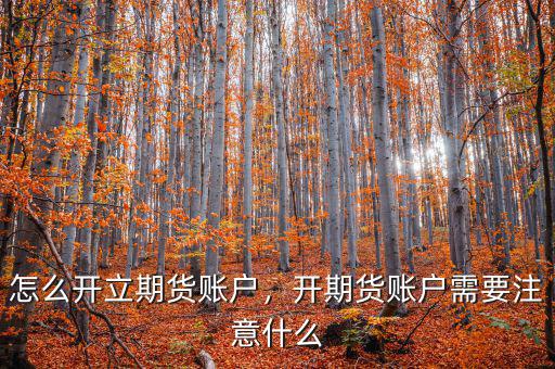 什么是金融期貨二次開(kāi)戶,開(kāi)期貨賬戶需要注意什么