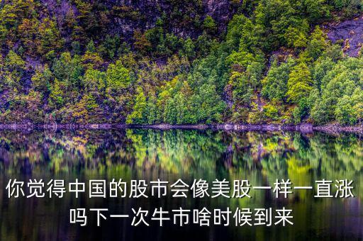 你覺得中國的股市會像美股一樣一直漲嗎下一次牛市啥時候到來