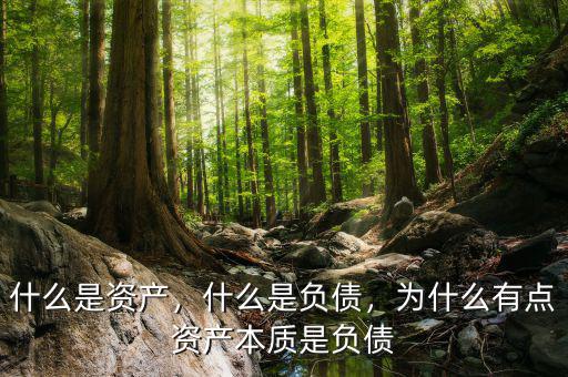 什么是資產(chǎn)，什么是負(fù)債，為什么有點(diǎn)資產(chǎn)本質(zhì)是負(fù)債