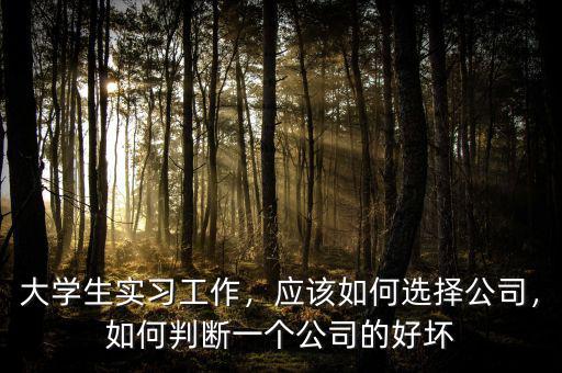 大學(xué)生實(shí)習(xí)工作，應(yīng)該如何選擇公司，如何判斷一個公司的好壞