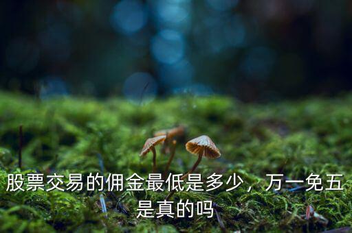 股票交易的傭金最低是多少，萬一免五是真的嗎