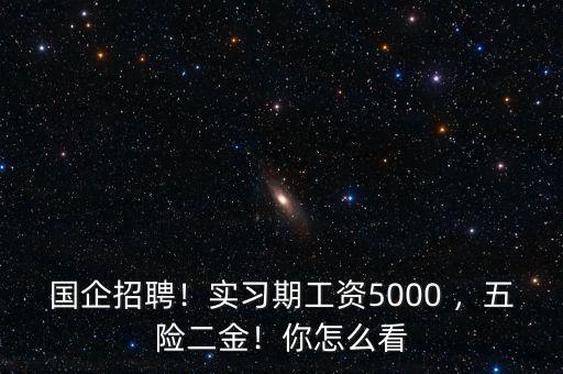 國企招聘！實習期工資5000 ，五險二金！你怎么看