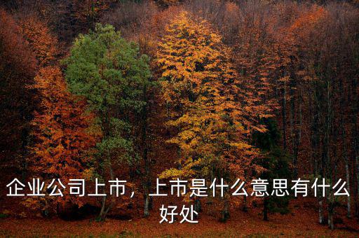 企業(yè)公司上市，上市是什么意思有什么好處