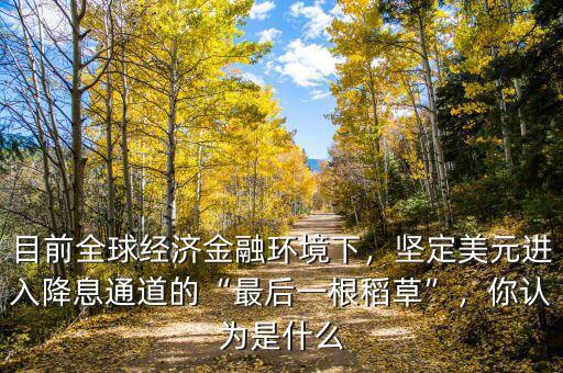 目前全球經(jīng)濟(jì)金融環(huán)境下，堅(jiān)定美元進(jìn)入降息通道的“最后一根稻草”，你認(rèn)為是什么