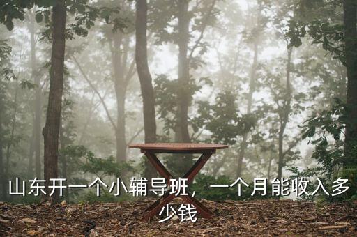 山東開一個小輔導(dǎo)班，一個月能收入多少錢