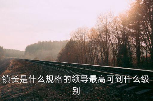 鎮(zhèn)長是什么規(guī)格的領(lǐng)導(dǎo)最高可到什么級(jí)別