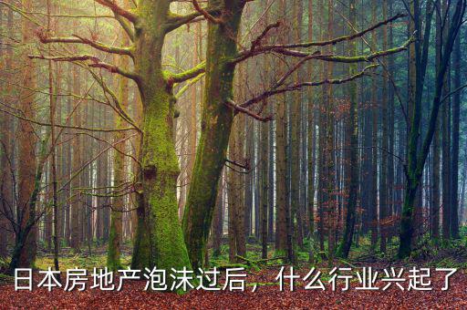 日本房地產(chǎn)泡沫過后，什么行業(yè)興起了