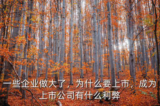 一些企業(yè)做大了，為什么要上市，成為上市公司有什么利弊