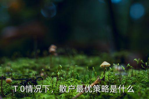 什么是最優(yōu)策略,那么持倉(cāng)最優(yōu)策略是什么