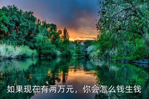 如果現(xiàn)在有兩萬元，你會怎么錢生錢