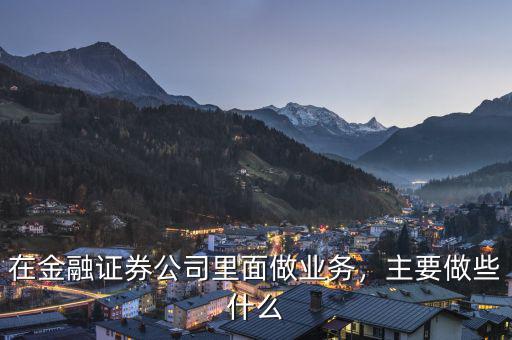 在金融證券公司里面做業(yè)務(wù)，主要做些什么