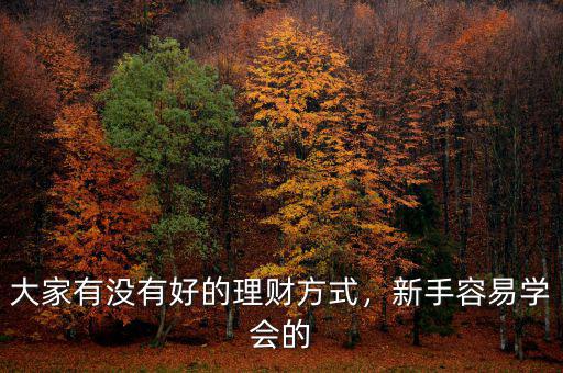 大家有沒有好的理財方式，新手容易學(xué)會的