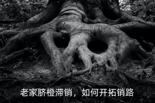 老家臍橙滯銷，如何開拓銷路