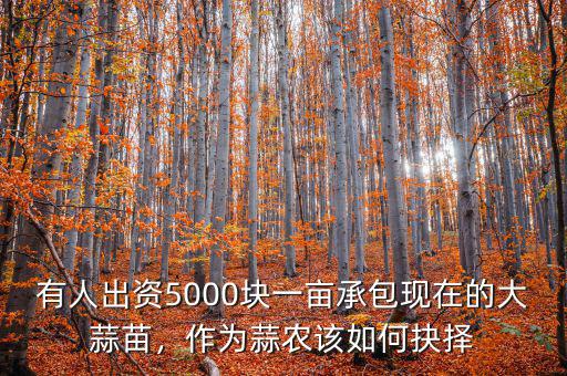 有人出資5000塊一畝承包現(xiàn)在的大蒜苗，作為蒜農(nóng)該如何抉擇