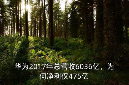 華為2017年總營收6036億，為何凈利僅475億