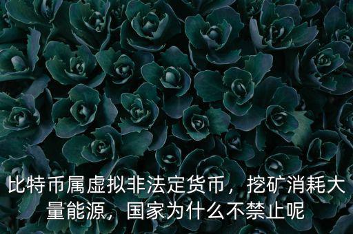 比特幣屬虛擬非法定貨幣，挖礦消耗大量能源，國家為什么不禁止呢