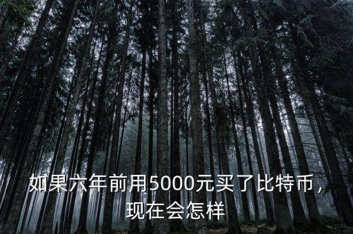 如果六年前用5000元買了比特幣，現(xiàn)在會怎樣