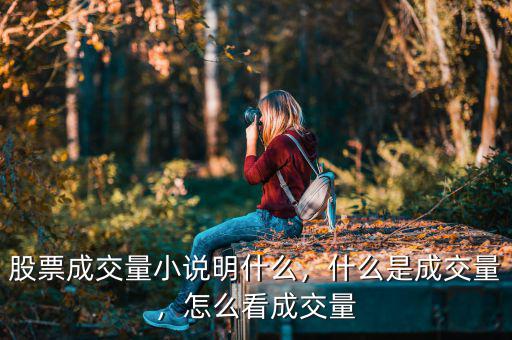 股票成交量小說明什么，什么是成交量，怎么看成交量