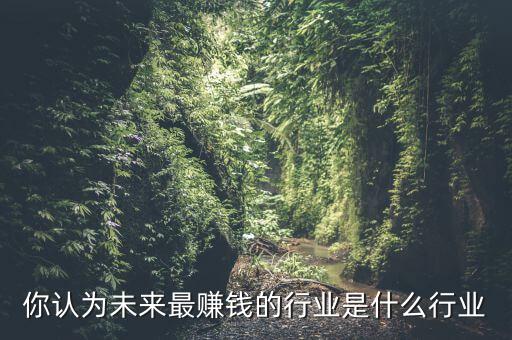 你認(rèn)為未來(lái)最賺錢(qián)的行業(yè)是什么行業(yè)