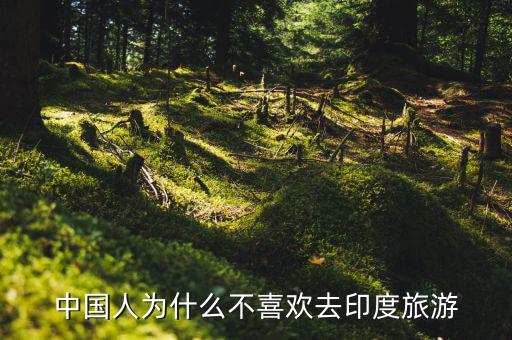 中國(guó)人為什么不喜歡去印度旅游