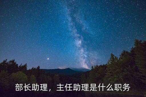 部長助理，主任助理是什么職務