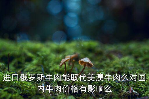 進口俄羅斯牛肉能取代美澳牛肉么對國內(nèi)牛肉價格有影響么