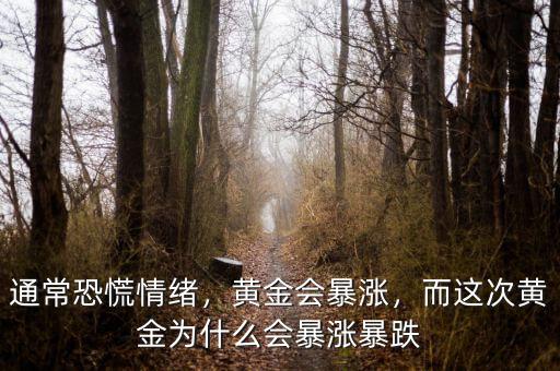 通常恐慌情緒，黃金會暴漲，而這次黃金為什么會暴漲暴跌