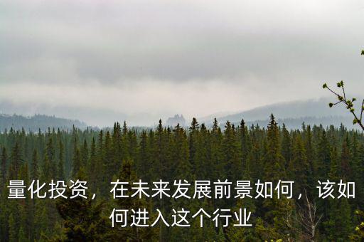 量化投資，在未來(lái)發(fā)展前景如何，該如何進(jìn)入這個(gè)行業(yè)