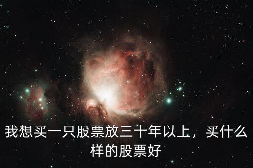 我想買(mǎi)一只股票放三十年以上，買(mǎi)什么樣的股票好