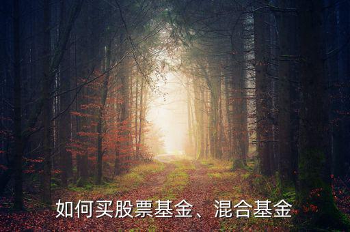 如何買股票基金、混合基金