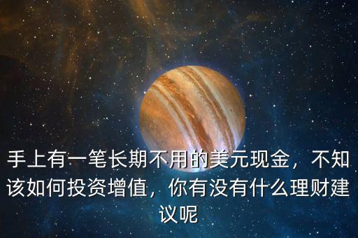 手上有一筆長(zhǎng)期不用的美元現(xiàn)金，不知該如何投資增值，你有沒(méi)有什么理財(cái)建議呢