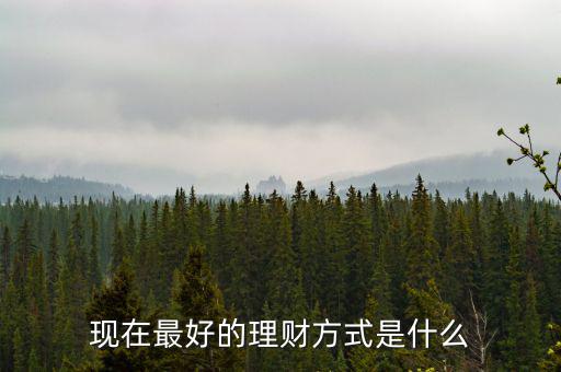 2015什么理財(cái)方式好,現(xiàn)在最好的理財(cái)方式是什么