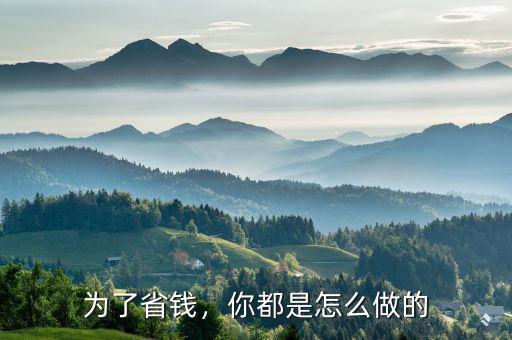 為了省錢，你都是怎么做的